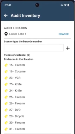 evidence audit report
