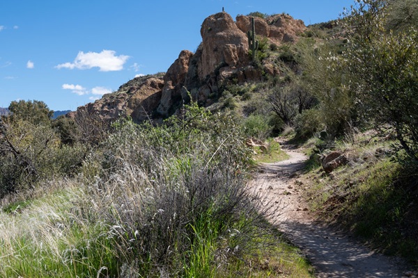 Phoenix Fire mountain rescues