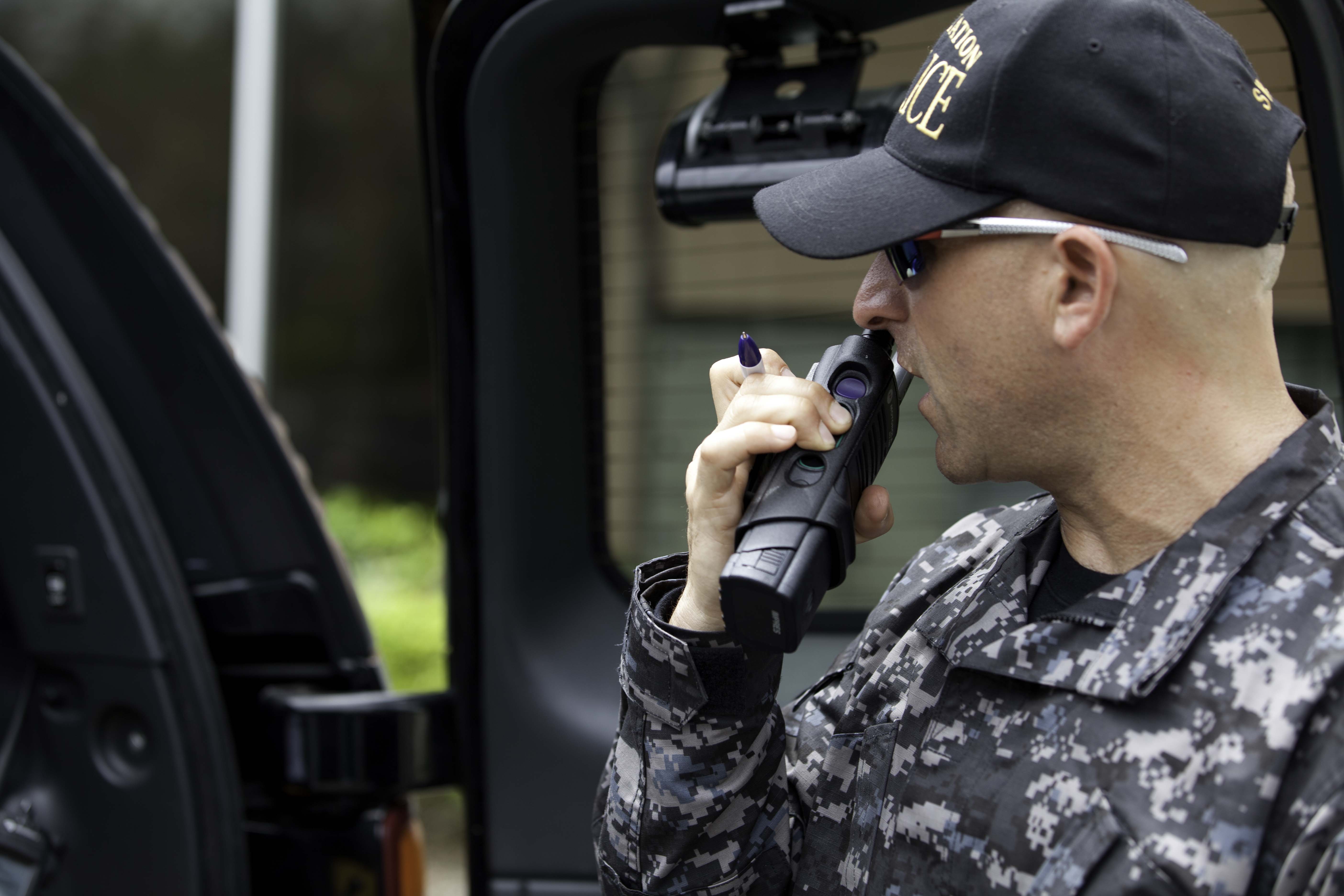 Evolution of swatting