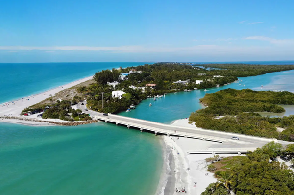 Assist AI transcription